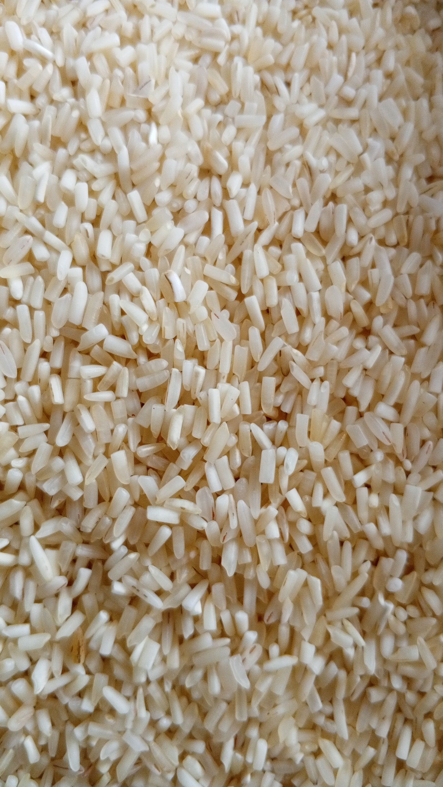 RAJ RICE B1 - Image 3